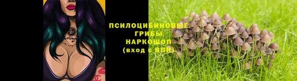прущая мука Зеленокумск