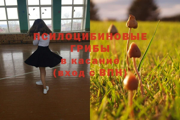 прущая мука Зеленокумск