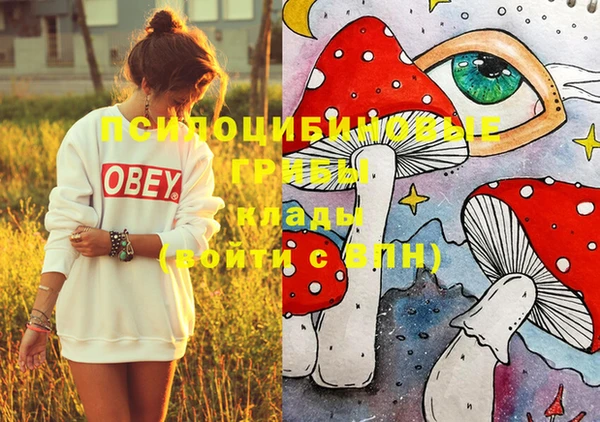 прущая мука Зеленокумск