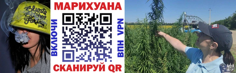 Шишки марихуана MAZAR  Купить  Каргат 